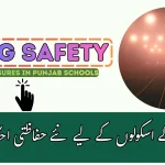 Punjab Schools Enforce Smog Safety Measures 2025
