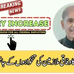 Federal Committee Formed to Review Pay and Allowances of Govt Employees 2025