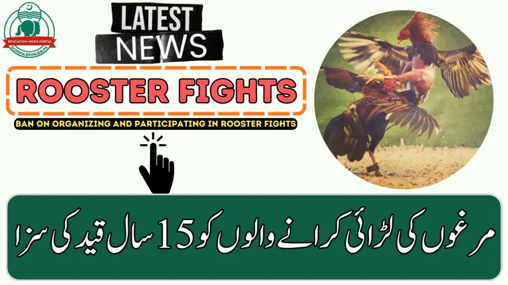 Punjab Govt Announces 15-Year Jail for Organizing Rooster Fights