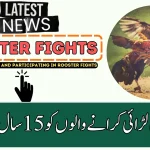 Punjab Govt Announces 15-Year Jail for Organizing Rooster Fights