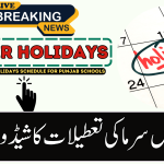 Punjab Winter Vacations Schedule 2025 Announced